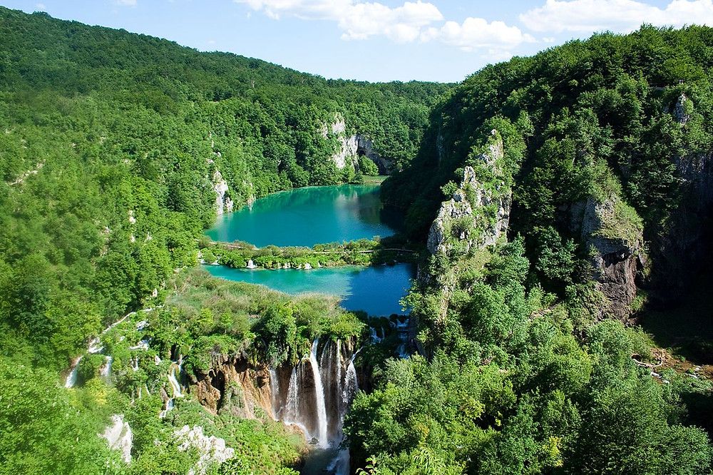 Omondo Environnement : Une attaque d'ours sème l'émoi dans le parc national de Plitvice en Croatie