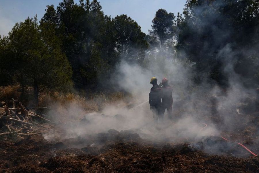 Incendie dans l’Aude : les viticulteurs réclament un fonds d’urgence après des pertes agricoles massives