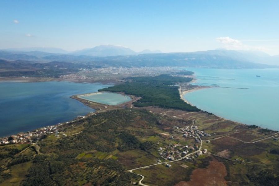 Préservation de la lagune de Vjosa-Narta en Albanie : les mouvements écologiques internationaux face aux grands investissements immobiliers