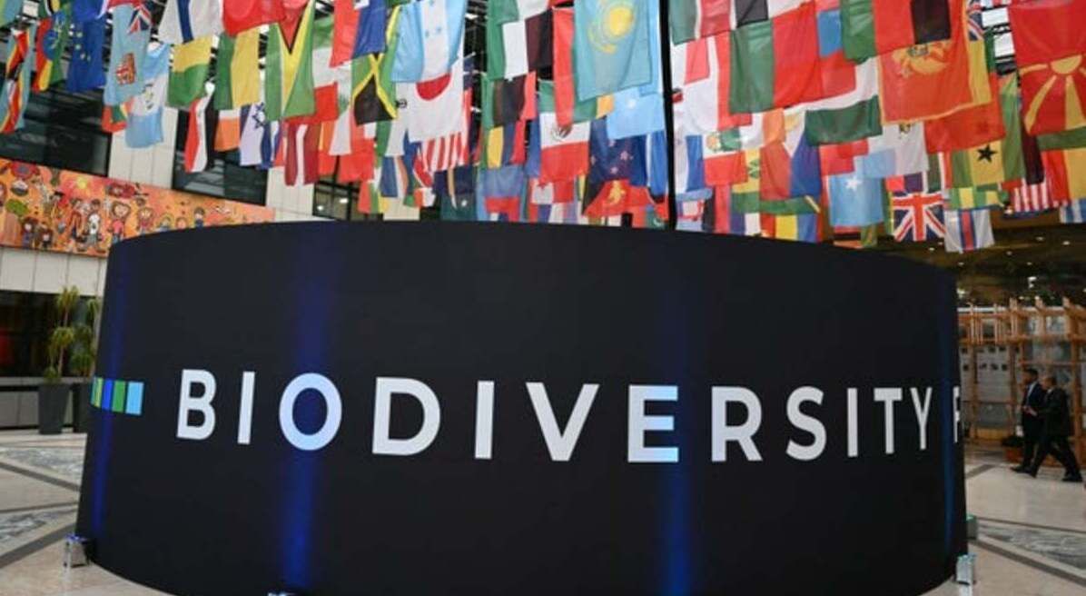 Le monde adopte de justesse un plan pour financer la sauvegarde de la nature