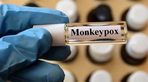 SANTÉ PUBLIQUE : La variole du singe se propage : l'OMS en état d'alerte maximale