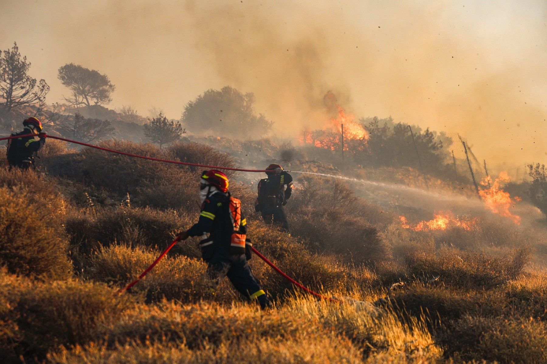 Incendies en Grèce et en Espagne : lutte acharnée, stratégies de sauvetage et conséquences écologiques