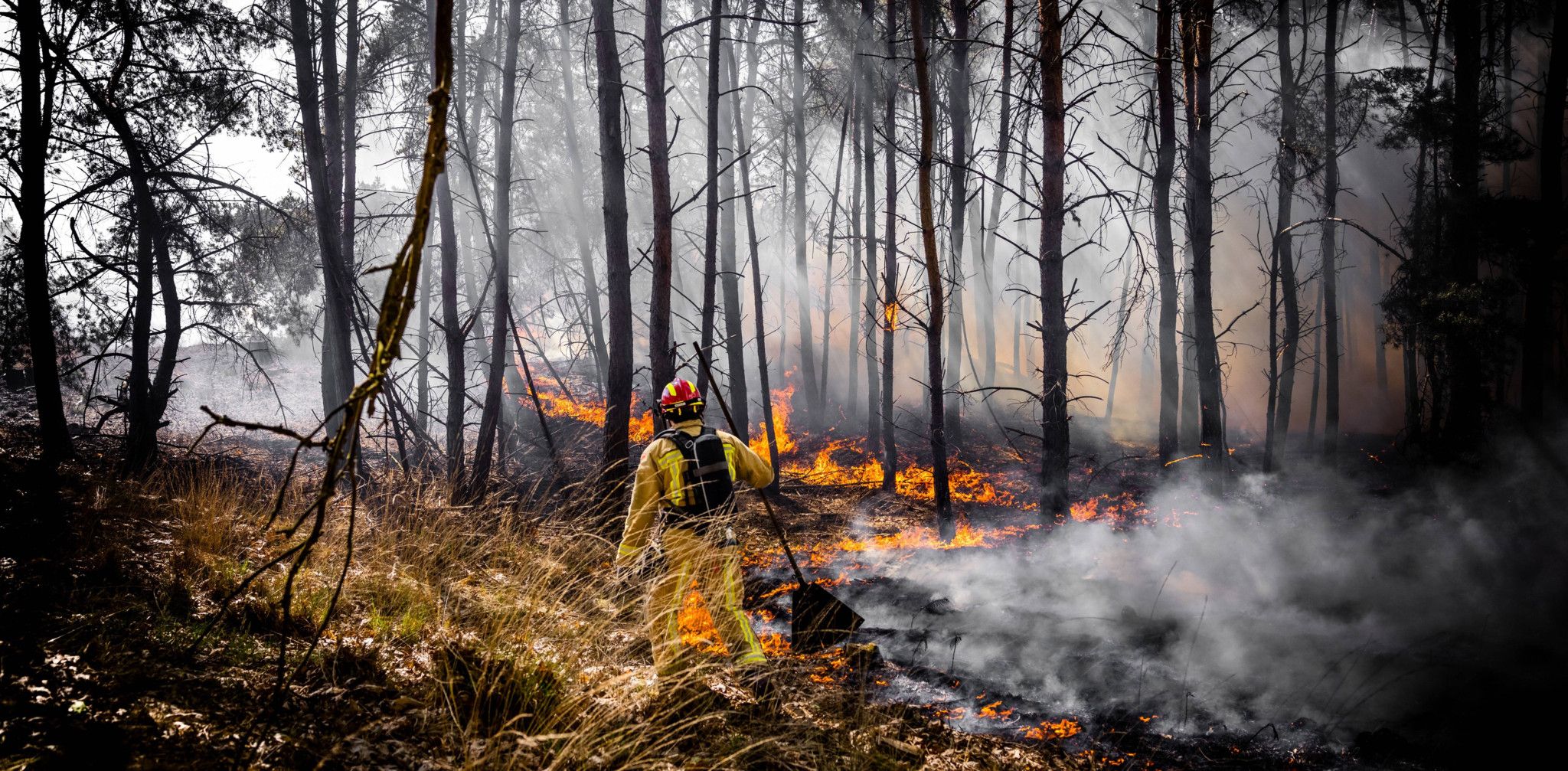 Climat mondial : L'impact dévastateur d'El Niño sur les records de températures de l'été 2026