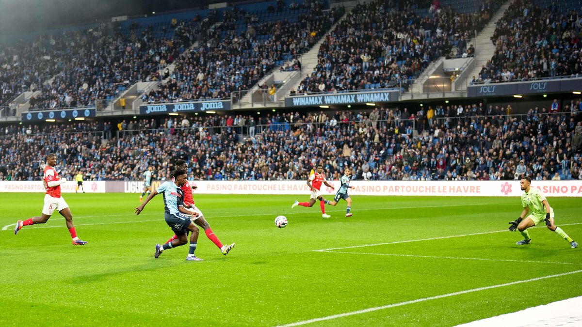 OMONDO SPORT - Ligue 1 : Un supporter de 6 ans interdit de stade au Havre après un incident insolite