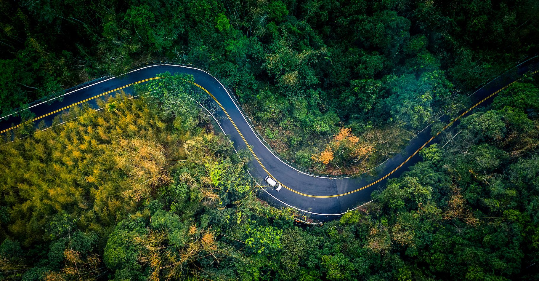 Les enjeux de la préservation de la biodiversité en Europe en 2025