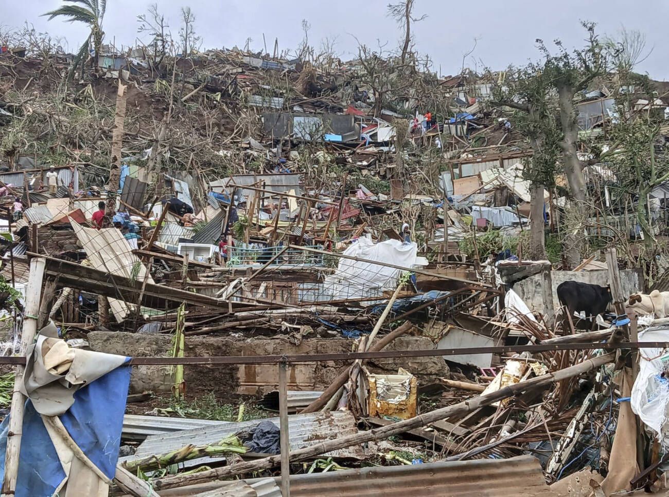 Cyclone Chido à Mayotte - Bilan catastrophique et réponse d'urgence