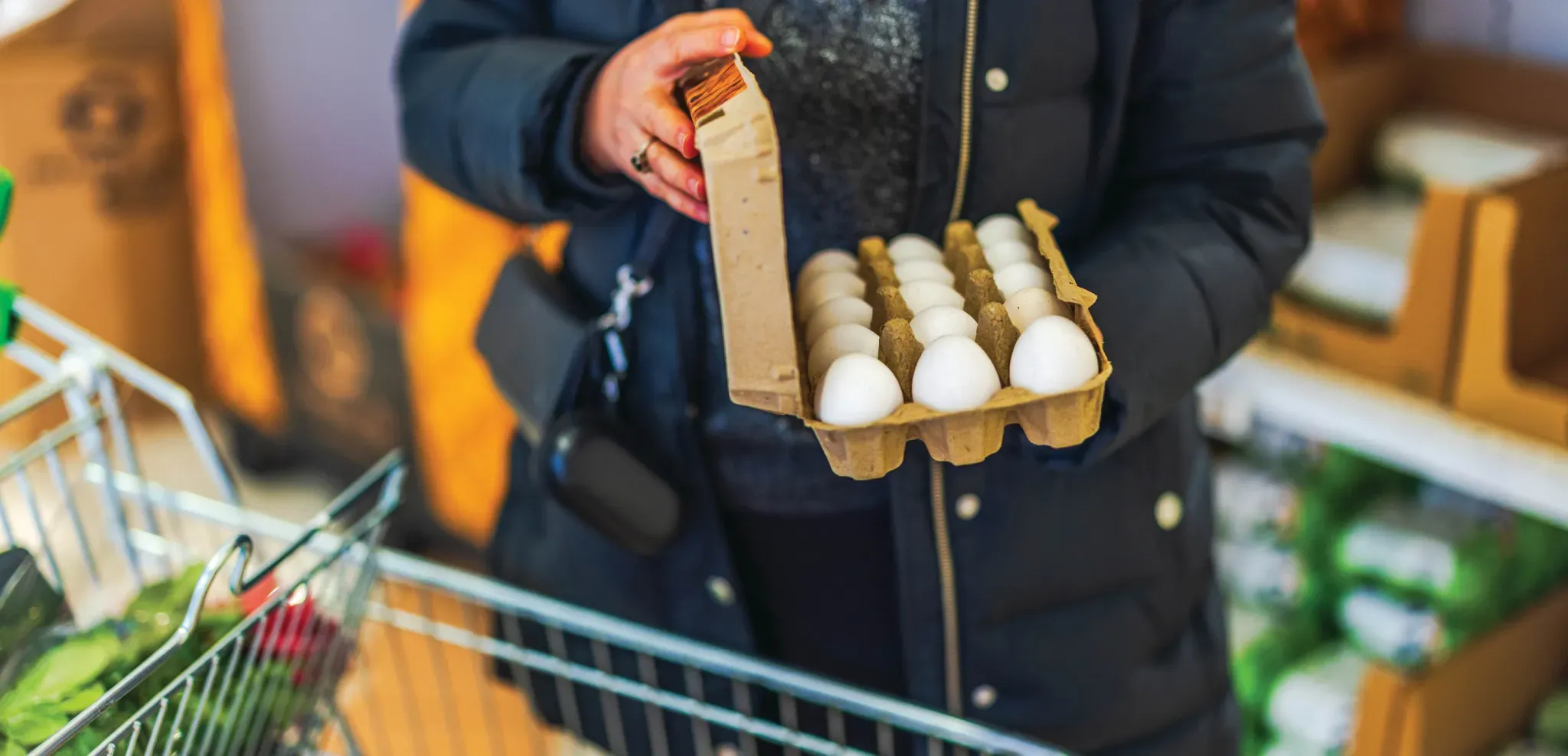 Aliments importés : L'assiette des Français sous la menace des toxines et des réseaux criminels — L'alerte rouge des Douanes pour 2026