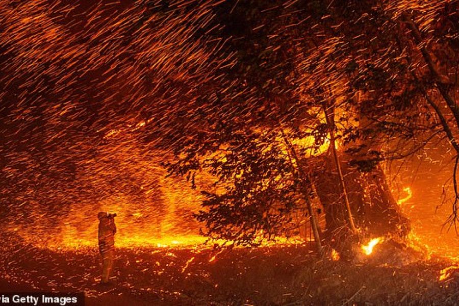 Mégafeux en Californie et au Canada : Entre catastrophe et espoir