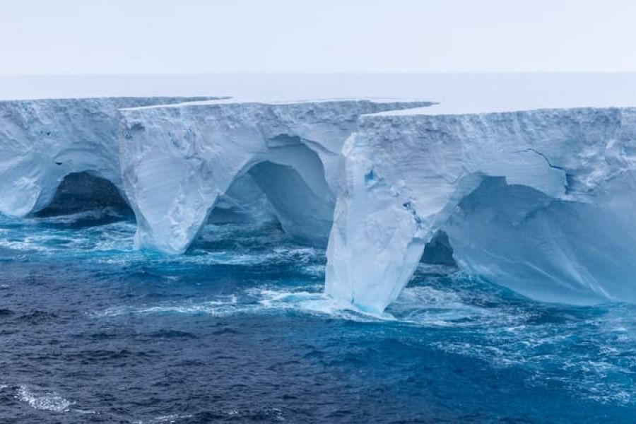 Échouage du plus grand iceberg : conséquences sur l'écosystème antarctique