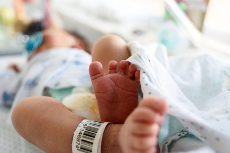 les taux de fécondité et de natalité en hausse en 2024, après des années de recul