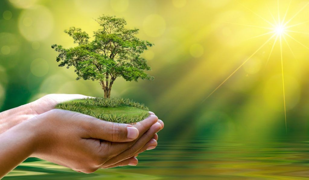 Défis environnementaux 2025 : Entre urgence écologique et espoirs durables