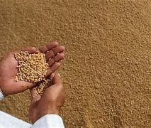 OMONDO ÉCONOMIE : Matières premières agricoles : La flambée des prix menace le panier des consommateurs
