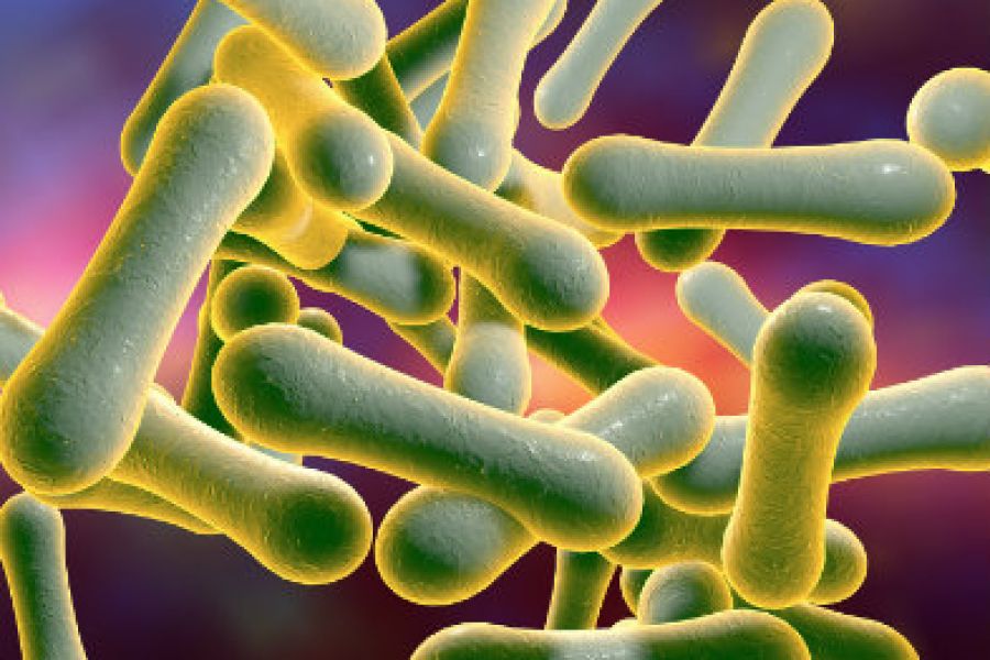 Nigéria : l’épidémie de dyphtérie se propage et inquiète