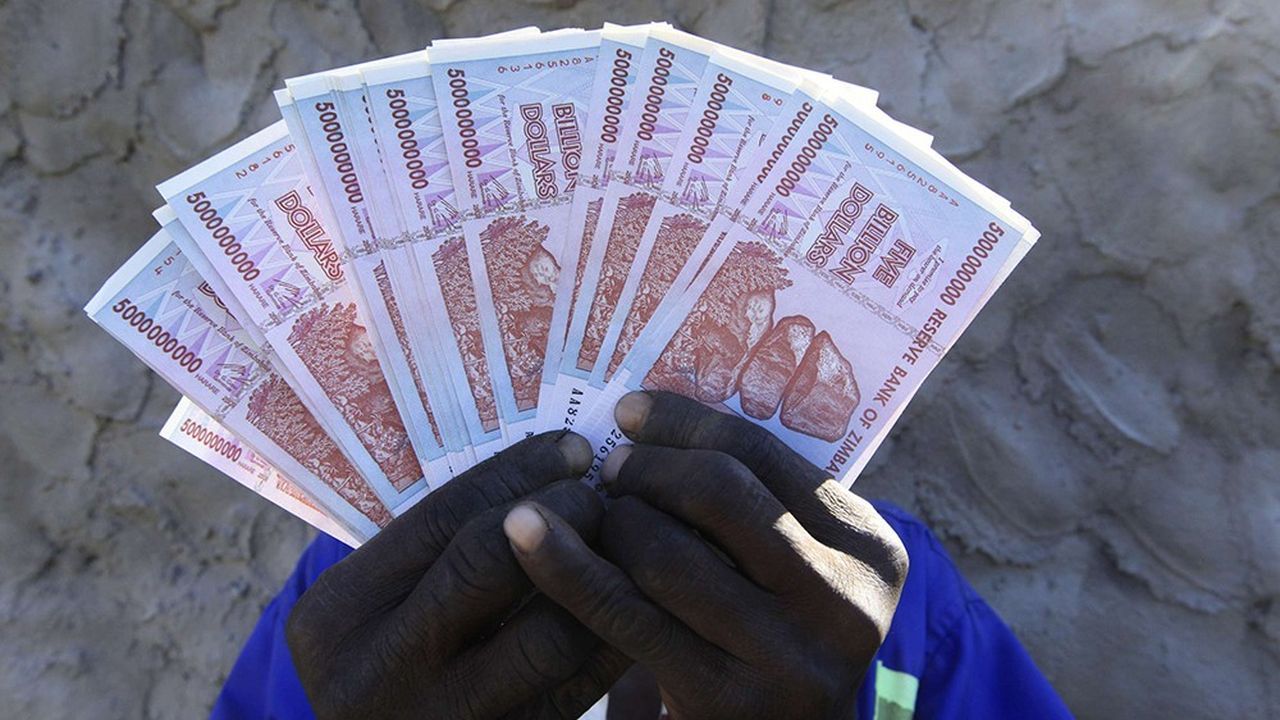 Le Zimbabwe maintient l'utilisation des devises étrangères jusqu'en 2030