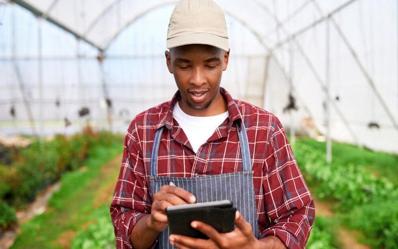 Les défis du secteur agricole face aux normes environnementales et à la sécurité alimentaire en 2025