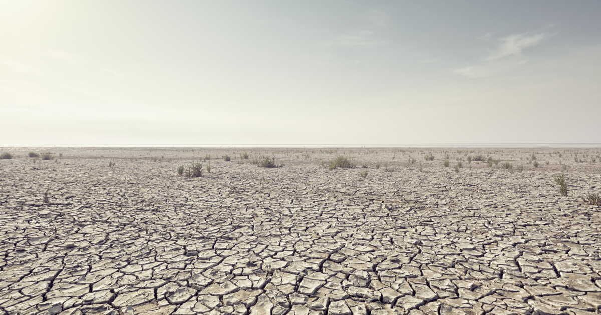 Risque Climatique : La Sécurité Alimentaire et l'Hydratation Menacées par les Vagues de Chaleur Inédites à Proximité des Forums Internationaux