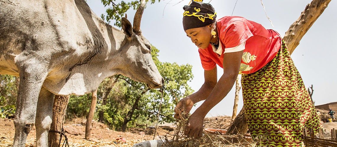 Résilience Précaire : Malgré une Légère Révision à la Hausse, la Croissance Mondiale Reste Fragile face à l'Incertitude Douanière