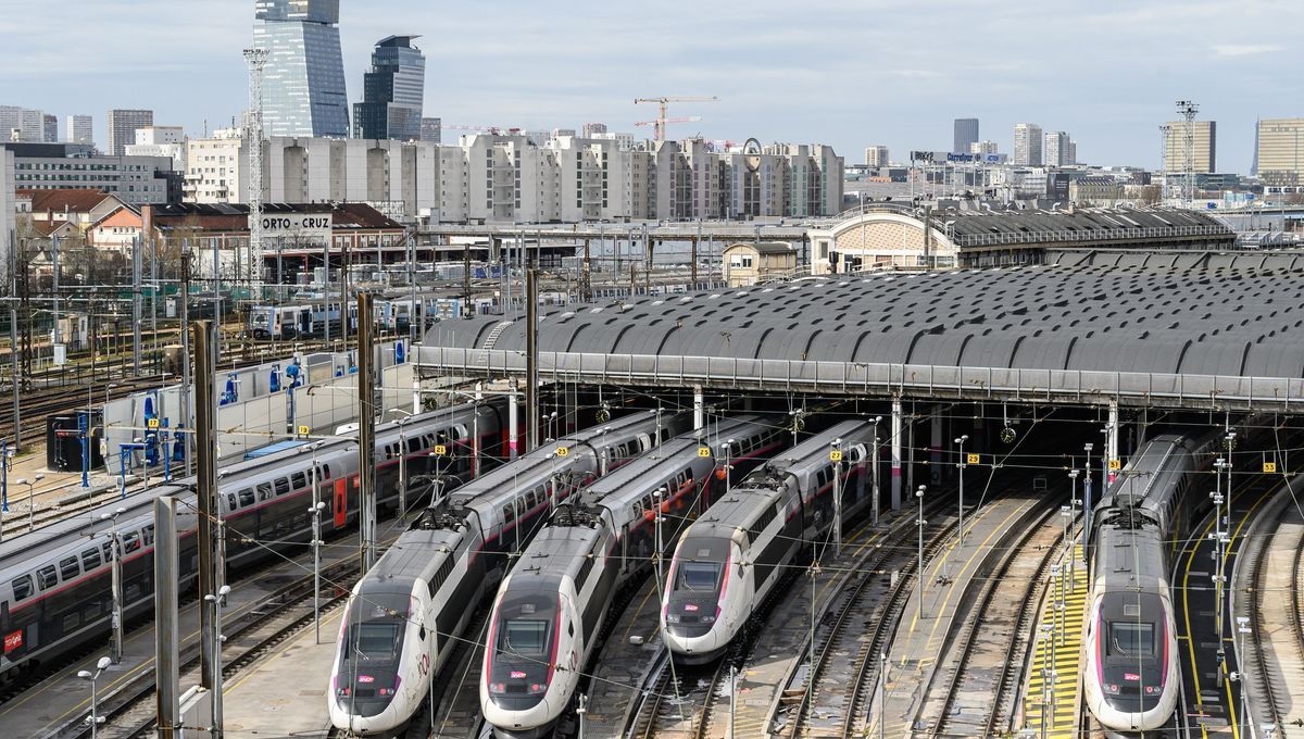 Transports et écoles : panorama des perturbations liées aux grèves dans les grandes villes françaises