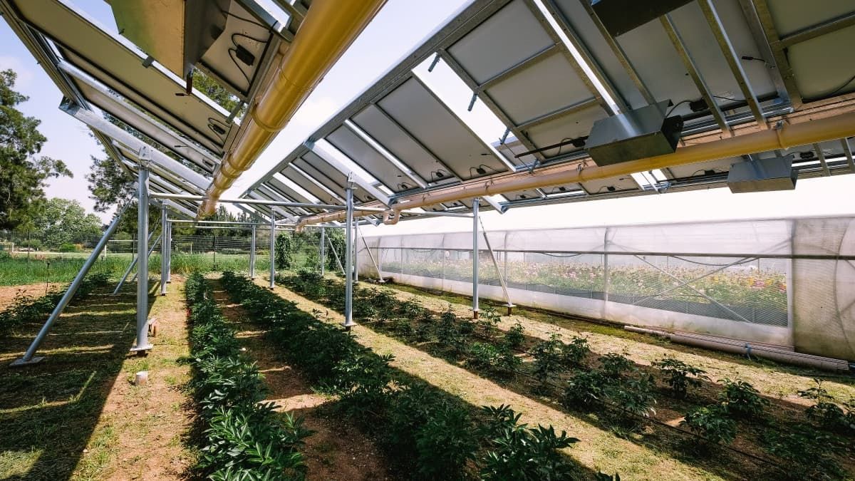 Sécheresse et Agriculture : Comment l'Irrigation Connectée Peut Sauver les Récoltes Globales