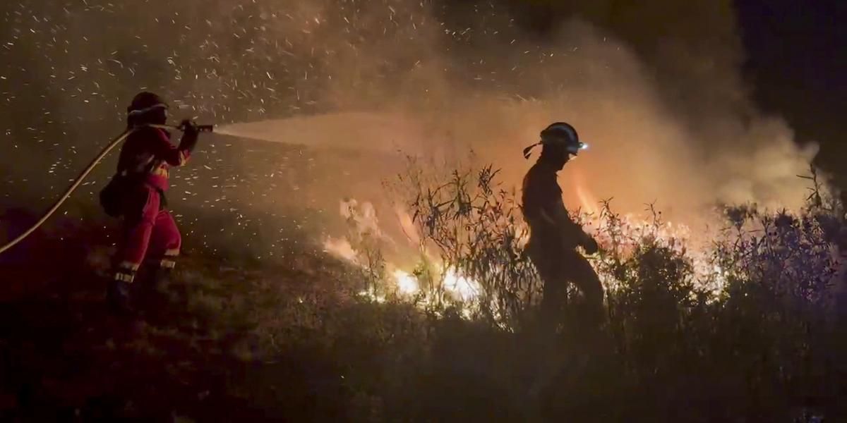 Espagne : deux morts dans des incendies de forêt à León et Tres Cantos, les pompiers luttent contre un feu d’une rare intensité