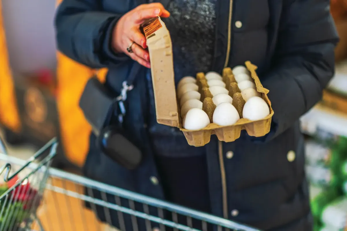 Aliments importés : L'assiette des Français sous la menace des toxines et des réseaux criminels — L'alerte rouge des Douanes pour 2026