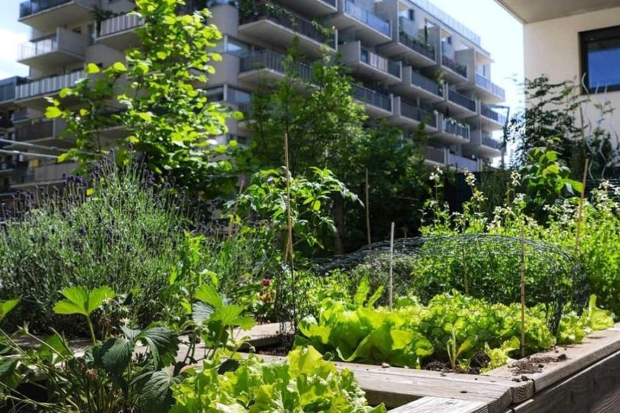 Transition écologique 2026 : les objectifs climatiques de Bruxelles bousculés par les réalités du marché
