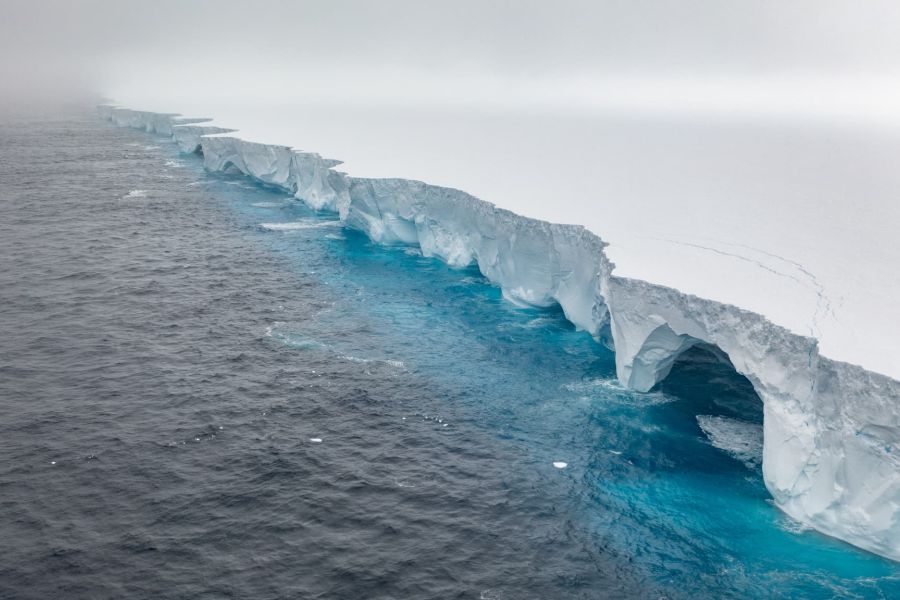 Antarctique : Un iceberg géant menace la faune de Géorgie du Sud