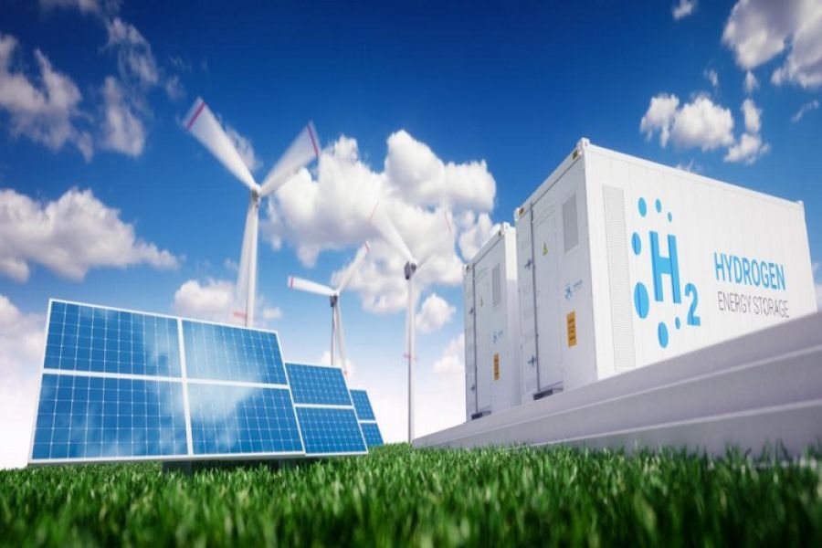 Statistiques Ceviprov : Le Décryptage de la Dre Anna Maertens sur les Tendances 2026