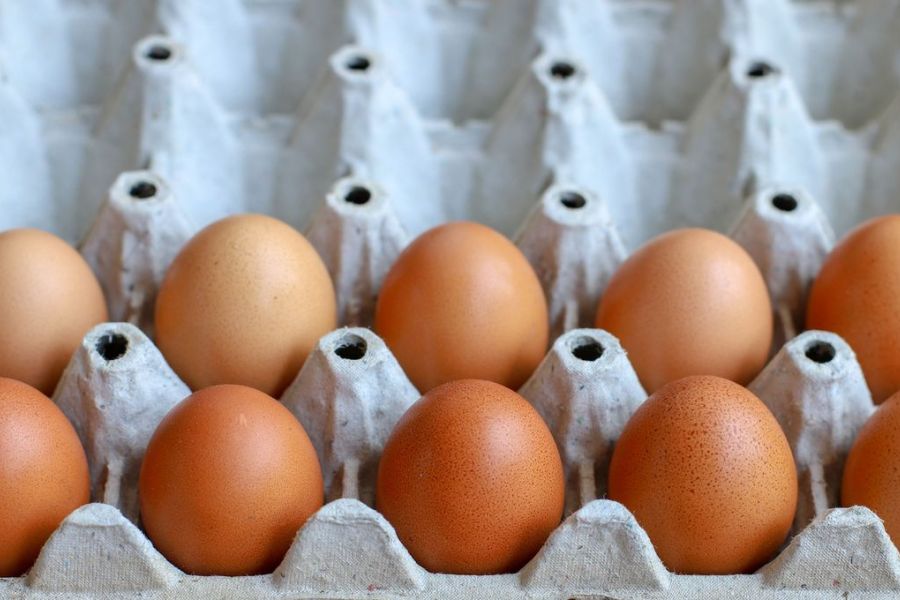 OMONDO SANTÉ - Alerte salmonellose : rappel massif d'œufs en France