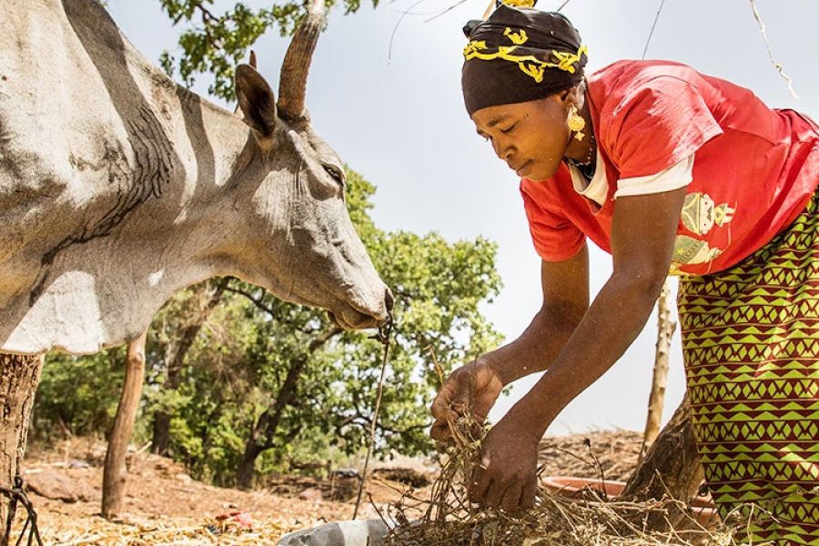 Résilience Précaire : Malgré une Légère Révision à la Hausse, la Croissance Mondiale Reste Fragile face à l'Incertitude Douanière