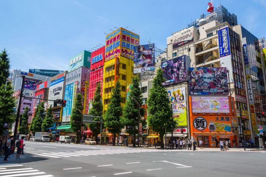 Omondo voyages et découvertes : Le Japon : Un voyage entre tradition et futurisme