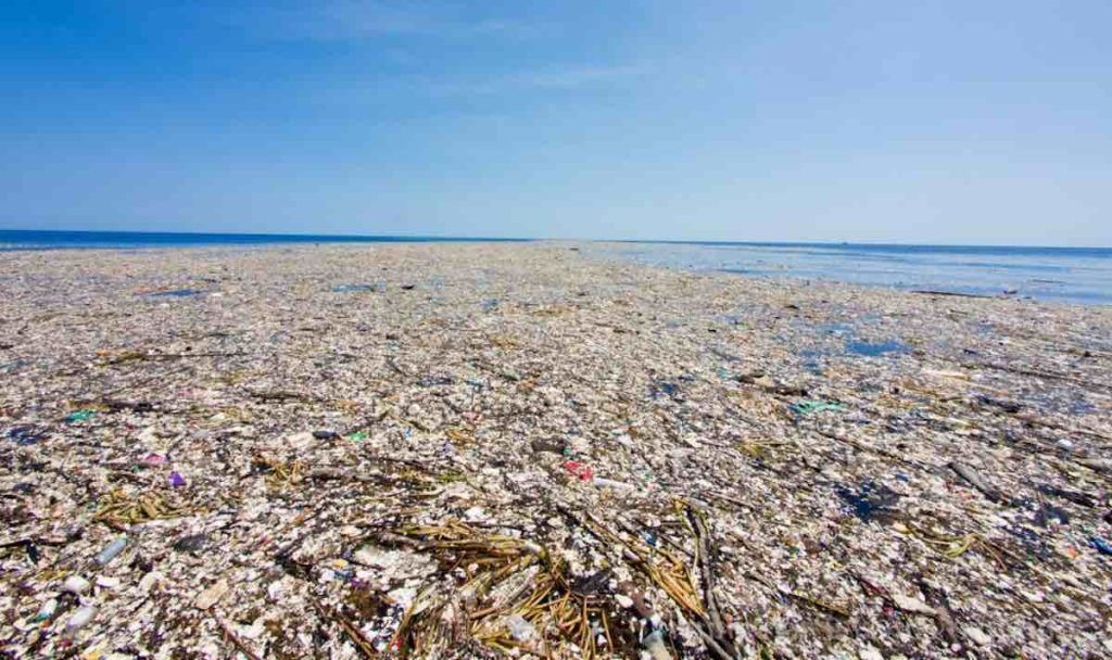 OMONDO ENVIRONNEMENT - Une île de plastique découverte dans l'océan Pacifique, plus grande que la France
