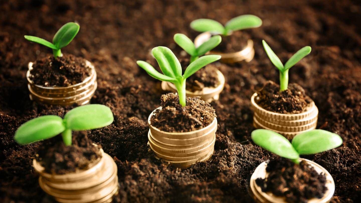 Finance durable : Le greenwashing s'invite dans les fonds "responsables" des banques