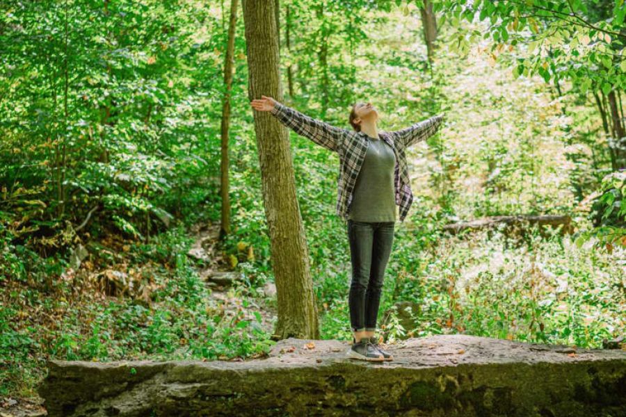 Même en images, la vue de la nature réduit bien la sensation de douleur