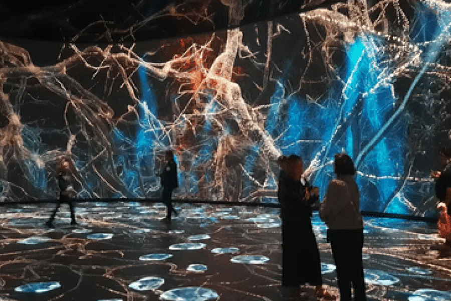 OMONDO ARTS - Une exposition immersive révolutionne l'expérience muséale à New York