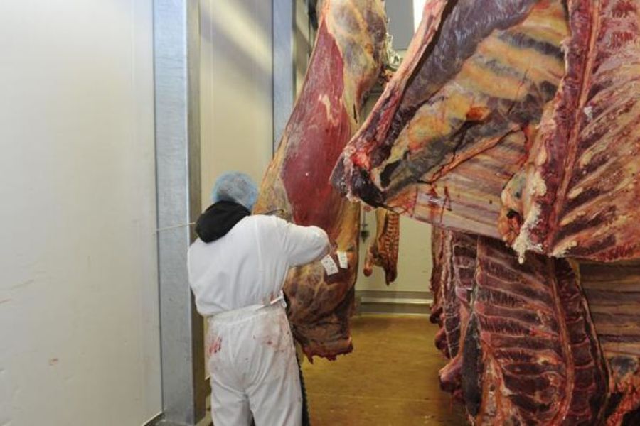 Agriculture 2026 : Grenoble, Berceau de la « Viande de Culture » à la Française