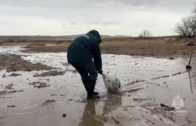 Marée noire en Russie et Crimée : inquiétudes face à une "catastrophe écologique