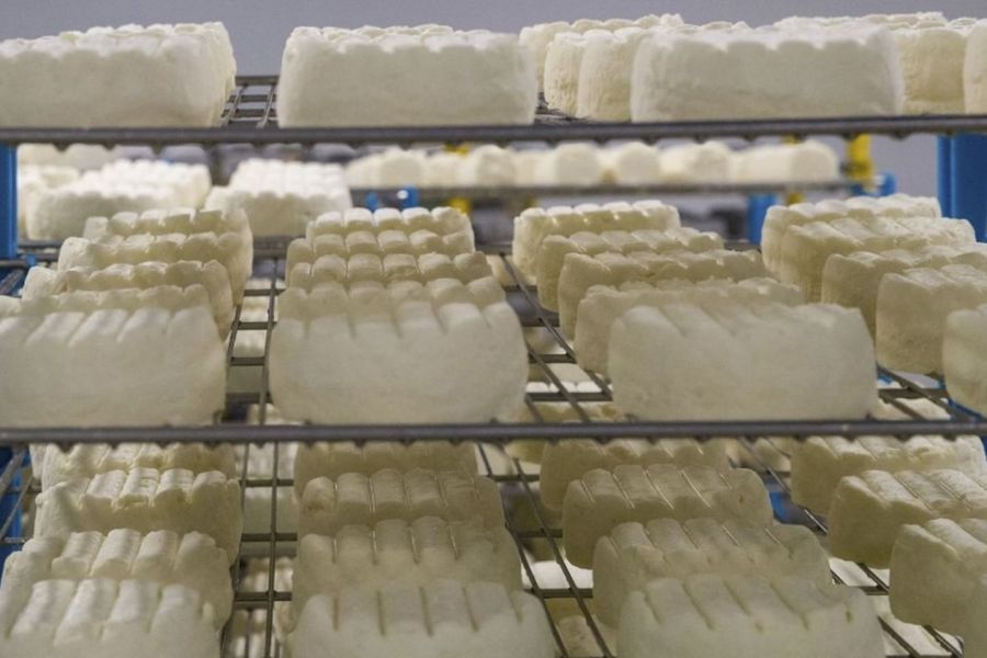 Scandale sanitaire en France : fromages contaminés à la Listeria, enquêtes sur une alerte ignorée depuis juin