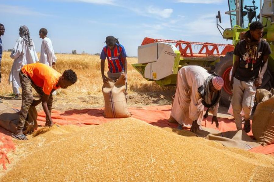 Le Soudan Face au Chaos : L'Appel Déchirant de l'ONU Contre la Famine Instrumentalisée