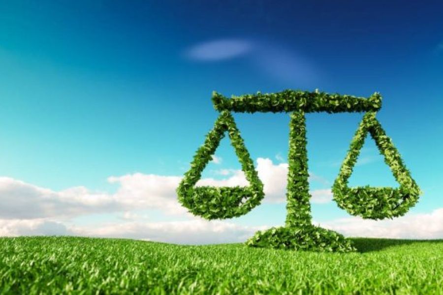 Résilience Climatique : La France face au "Grand Gel" de janvier 2026 et l'échec de la planification énergétique