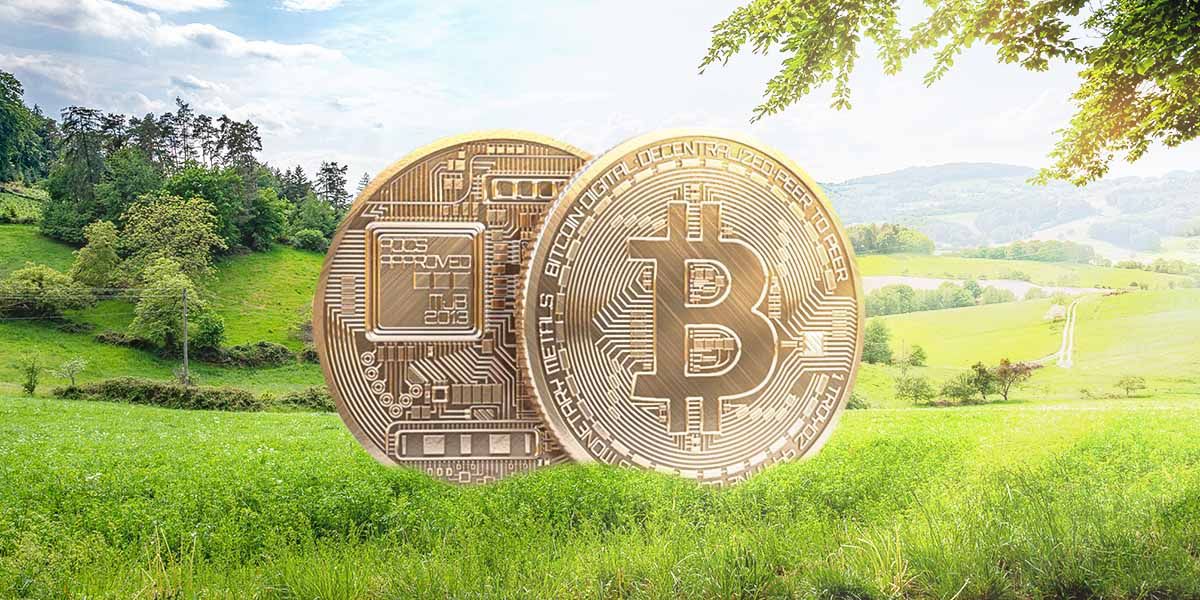 OMONDO ÉCONOMIE - La cryptomonnaie verte : Une nouvelle tendance écologique dans le monde financier
