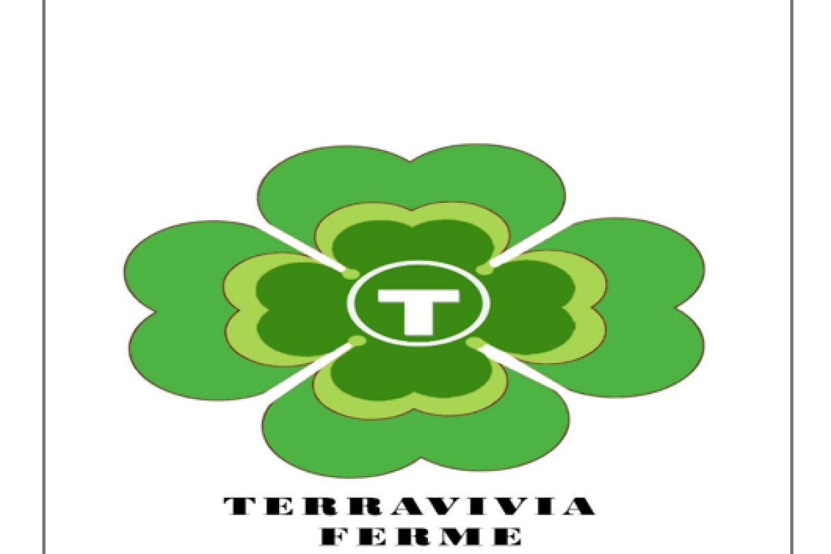 CAMP DE GRANDES VACANCES D'ÉTÉ À TERRAVIVIA : ENSEMBLE POUR RÉUSSIR !