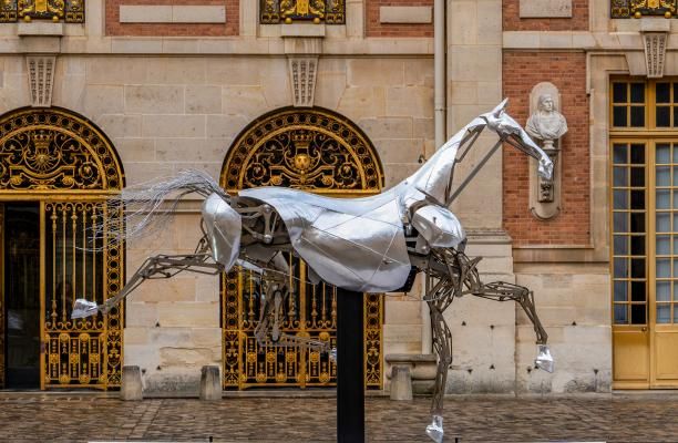Zeus, le cheval mythique des JO sera exposé dans sa ville natale en 2025