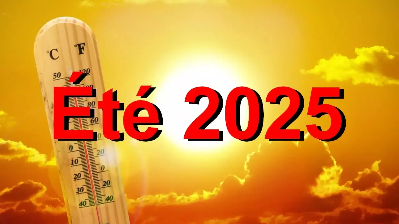 : L’été 2025 marqué par une seconde vague de chaleur exceptionnelle en France Retour sur l’épisode de chaleur estivale