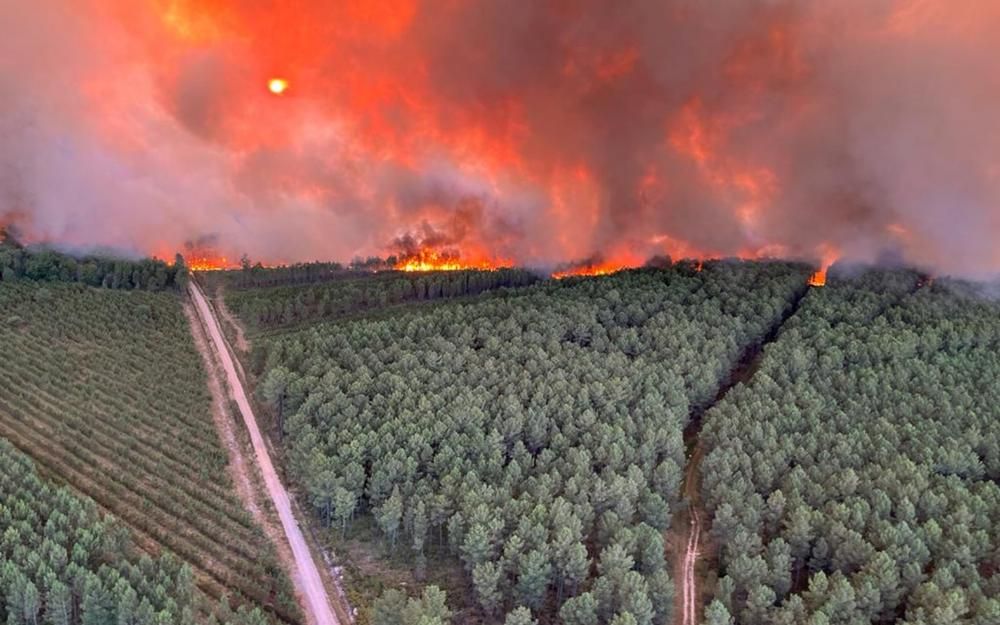 Incendies en Gironde : Lutte acharnée contre les feux de forêt géants et course contre la montre