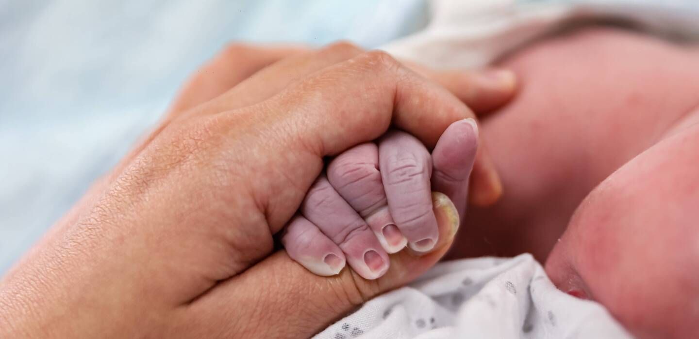 Taux de fécondité et de natalité en hausse en 2024, une lueur d'espoir après des années de déclin ?