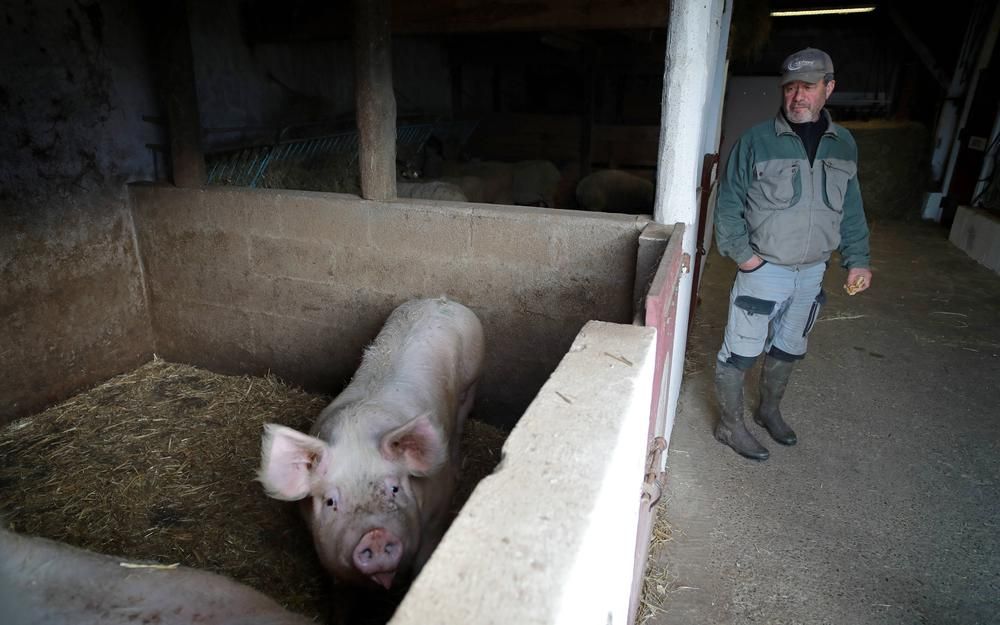 Polémique à Vénissieux : Un Boulanger Arrête de Vendre «du Porc» après une Agression