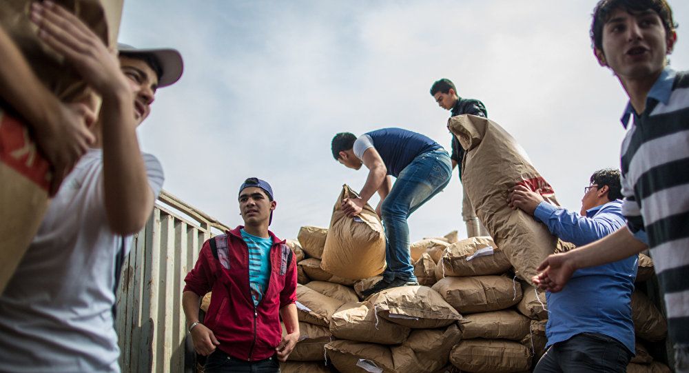 L’aide humanitaire s’accumule à arish après le début de la traversée des convois d’egypte vers gaza