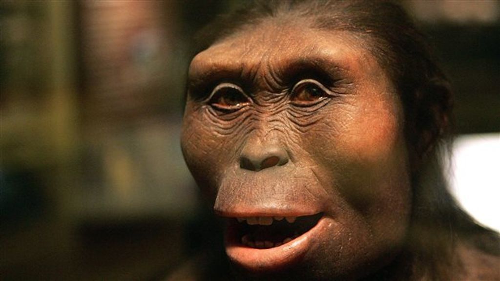 Lucy, notre ancêtre, exposée pour la première fois en Europe