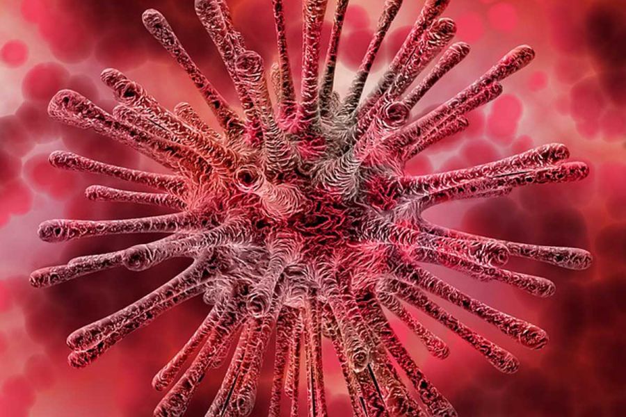 Santé Mondiale : Les Leçons de 2026 pour Prévenir les Pandémies Futures